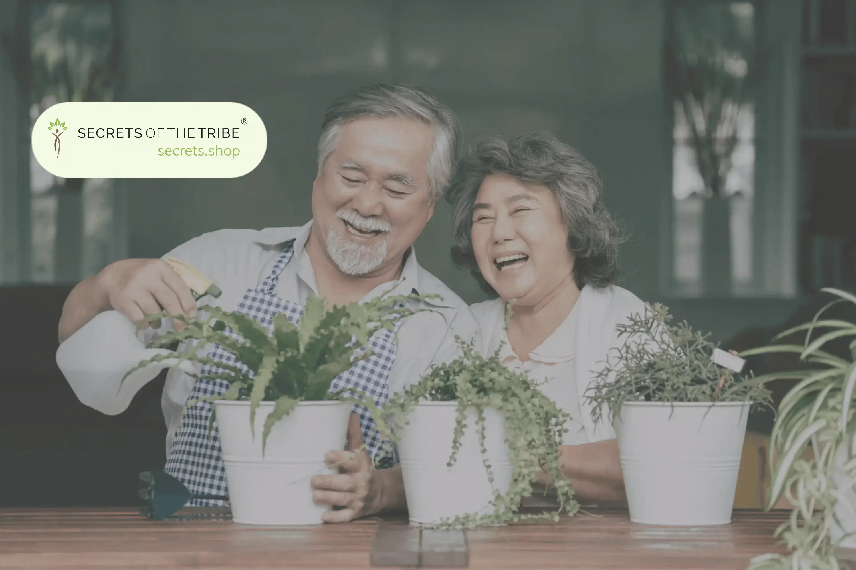 5 Best Herbs for the Elderly - Secrets Of The Tribe