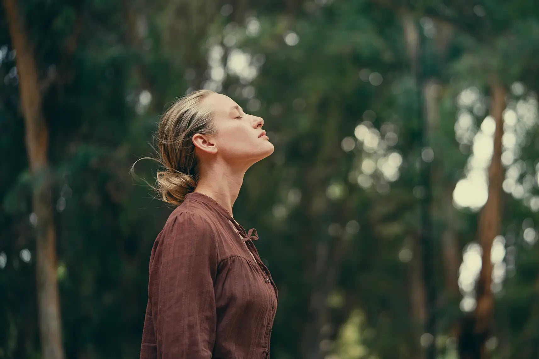 A-Perfect-Duo-Interesting-Information-About-Ginger-Turmeric-Combination Secrets Of The Tribe