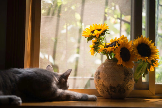 Allergy-features-and-ways-to-deal-with-it Secrets Of The TribeĀ