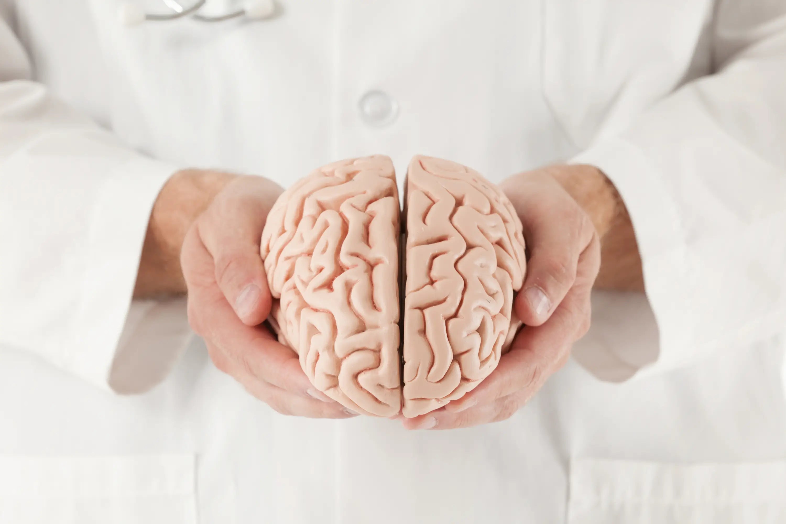 Boost-Your-Brain-The-Top-5-Best-Mushrooms-for-Brain-Health Secrets Of The Tribe