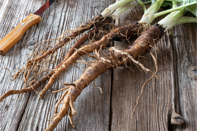 Burdock Root: Where to Buy, The Benefits, and More
