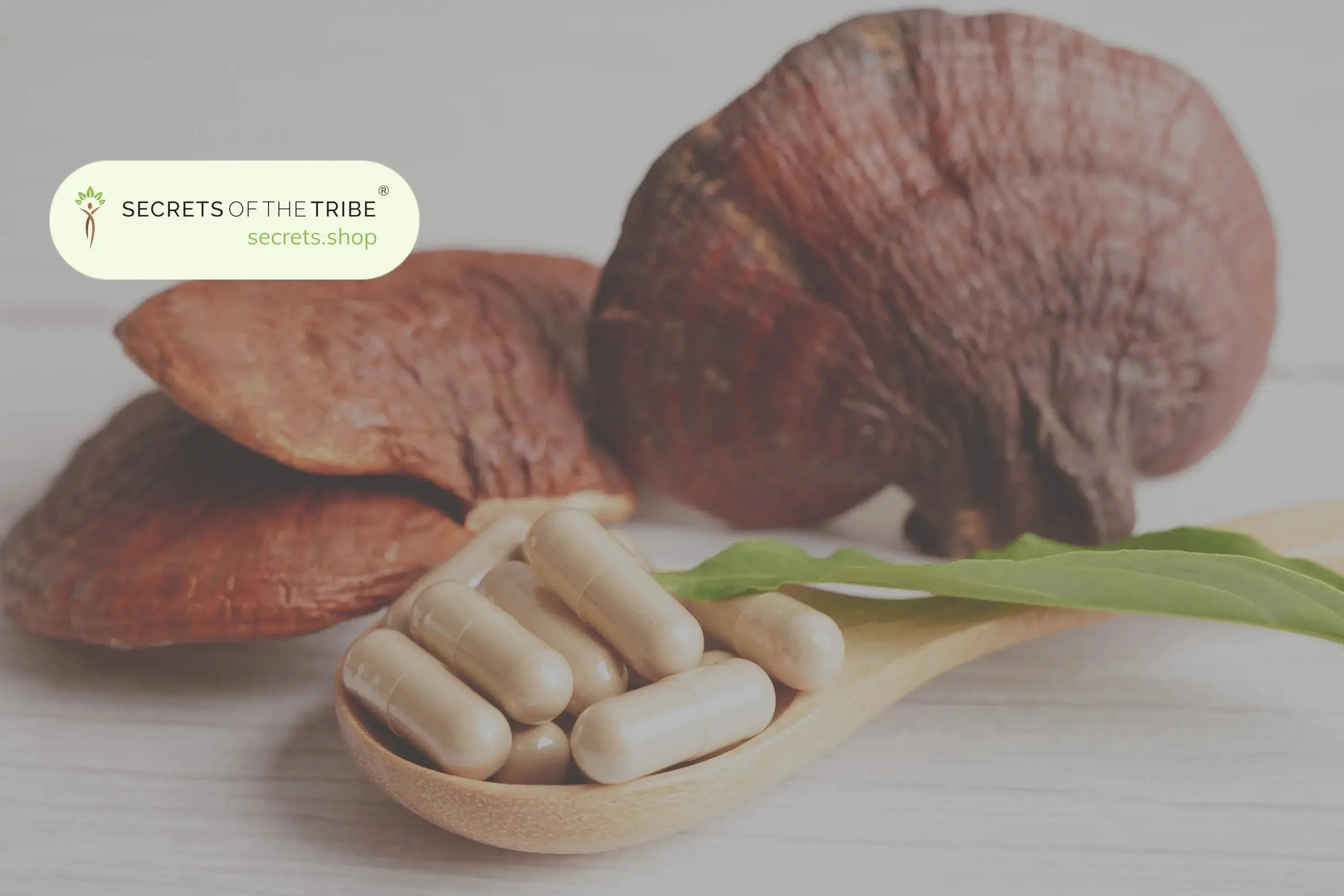 Exploring Top Nootropic Mushroom Supplements: Reishi, Lion's Mane, Cordyceps, and More Secrets Of The Tribe