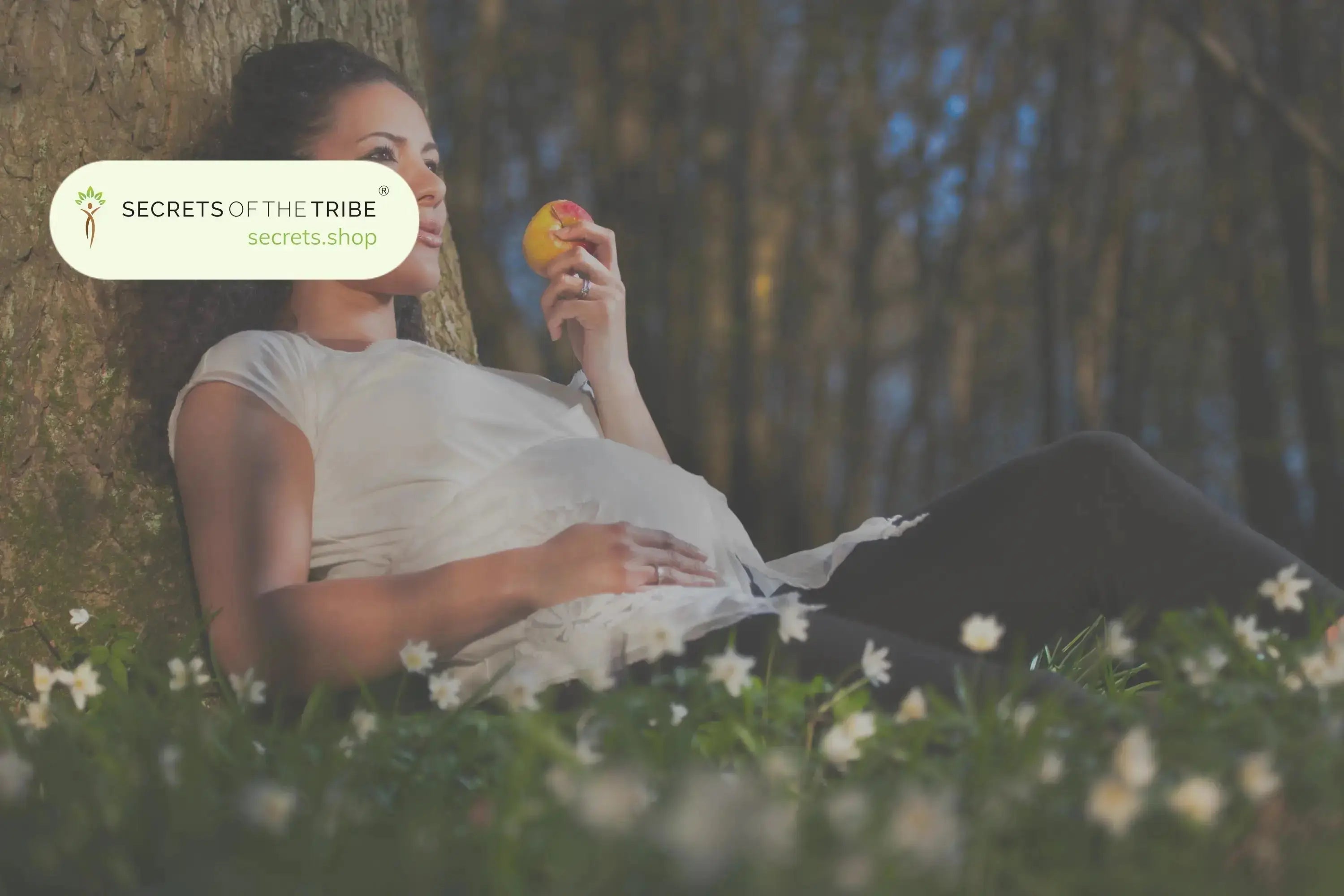 Herbs During Pregnancy – 3 Herbs That Are Safe (and Good) for Pregnant Women - Secrets Of The Tribe