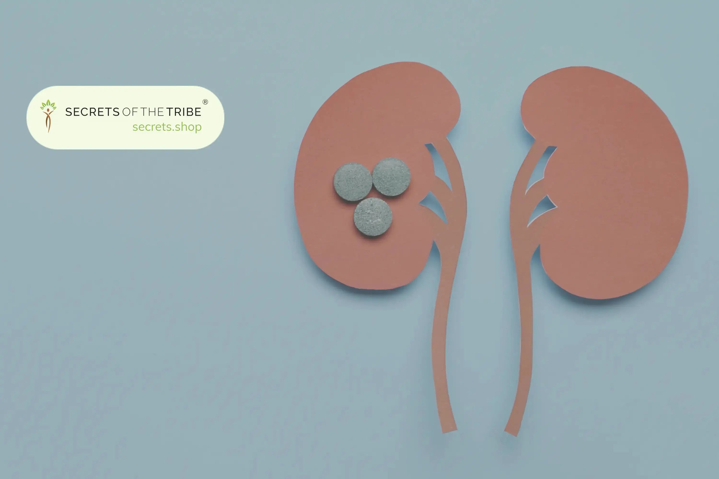 Herbs-That-Can-Help-Keep-Your-Kidneys-Healthy Secrets Of The Tribe