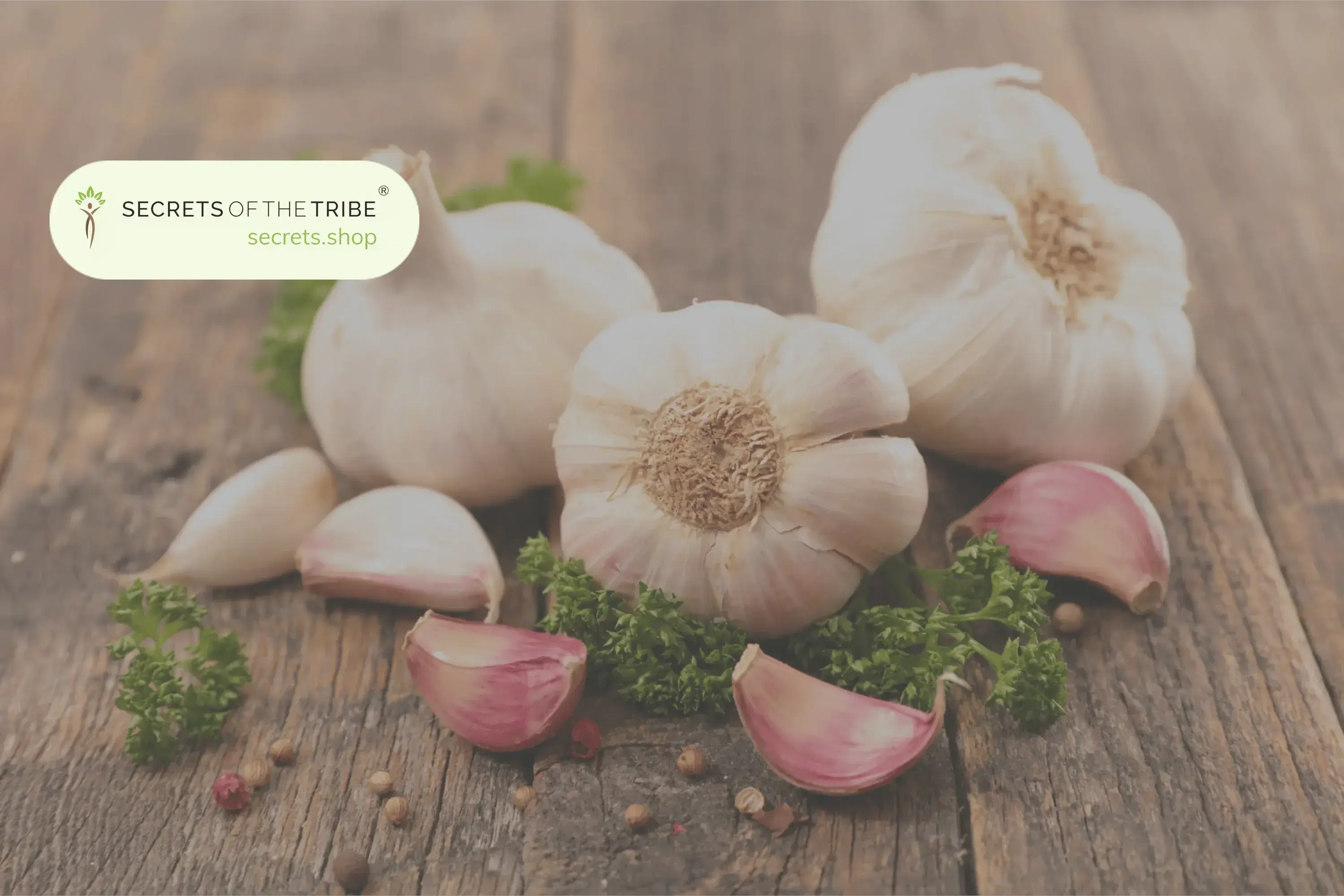 Herbs That Everyone Has at Home - Secrets Of The Tribe