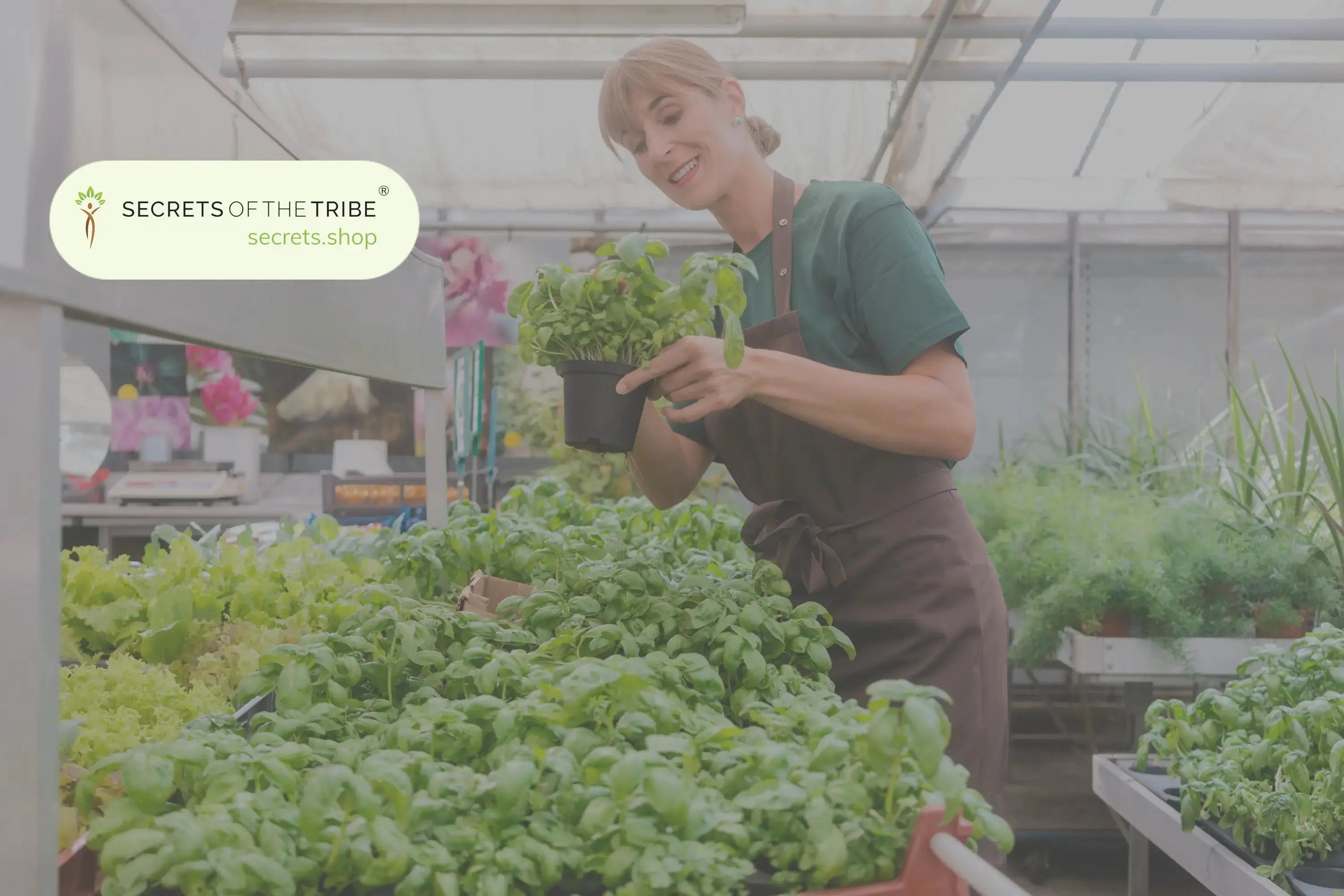 4 Exotic Herbs from Around the World - Secrets Of The Tribe