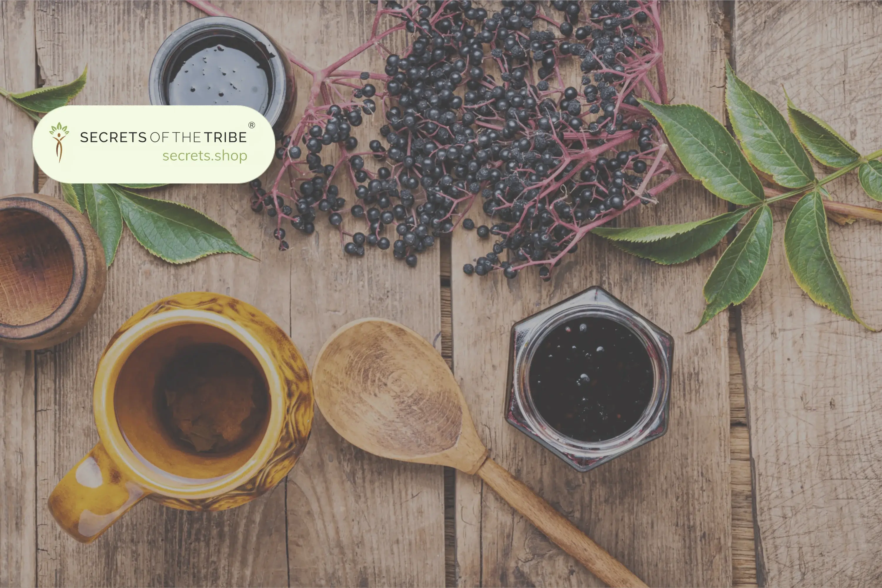 Herbs to Strengthen Your Immune System - Secrets Of The Tribe