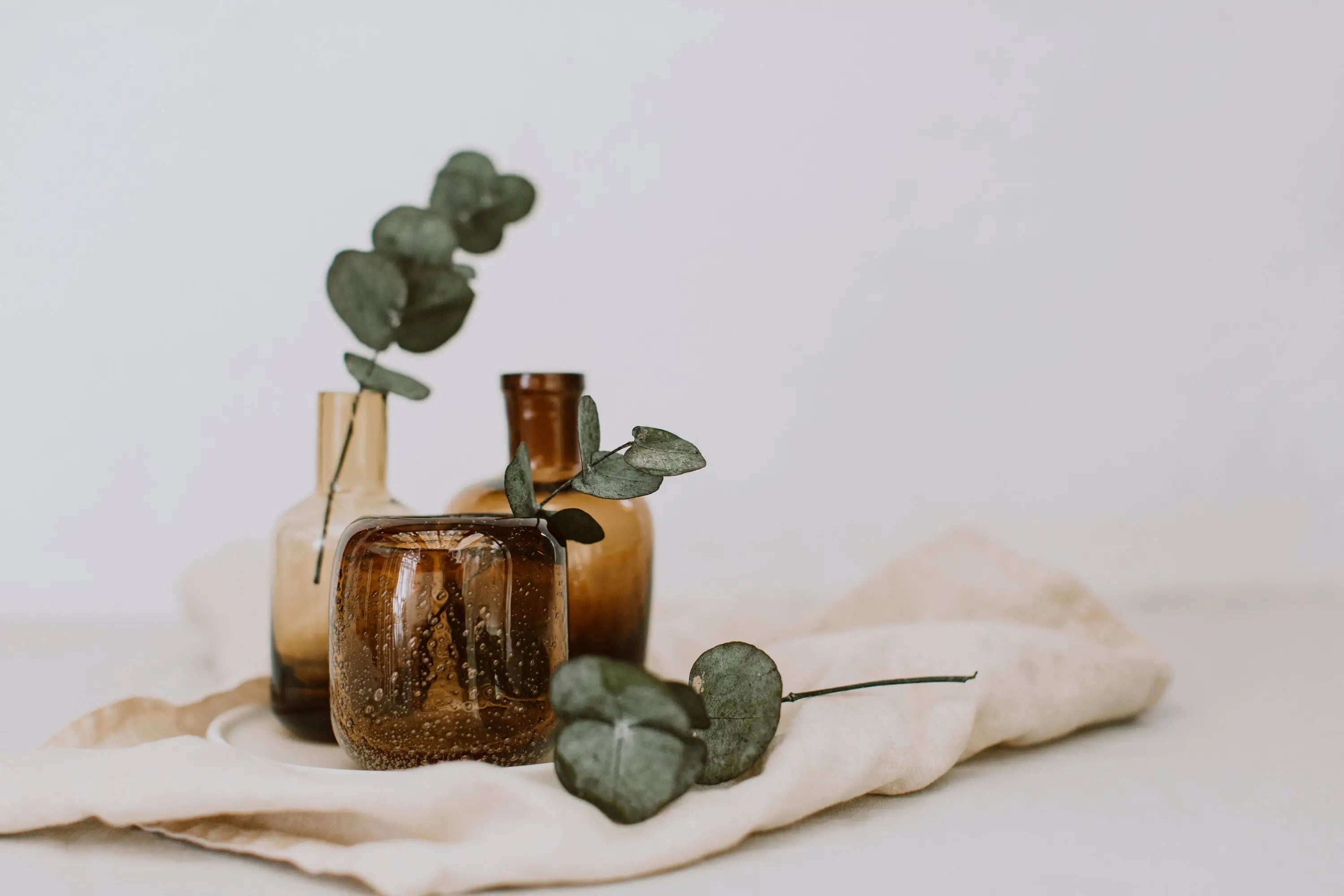 Learn-the-Herbs-Eucalyptus Secrets Of The Tribe