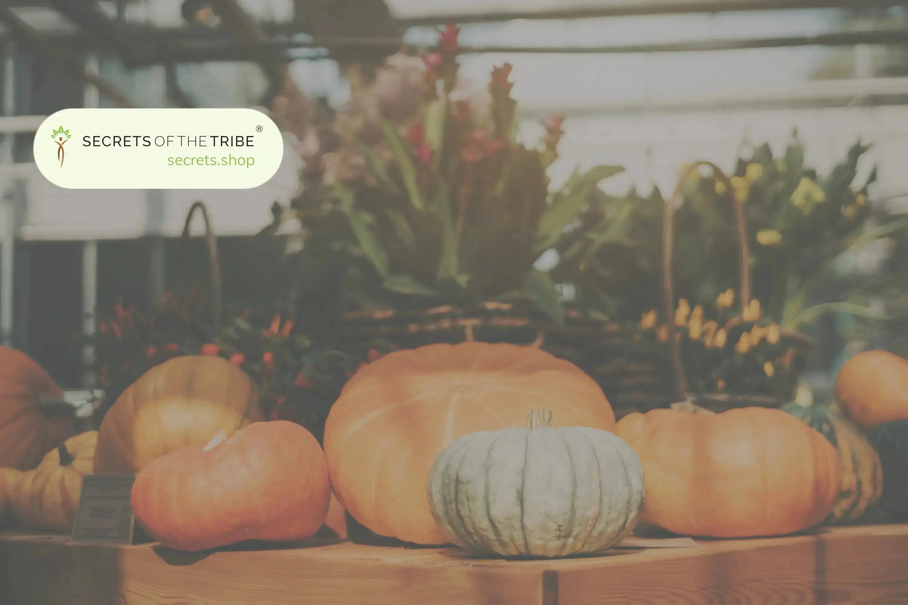 Learn the Herbs: Halloween Edition - Secrets Of The Tribe