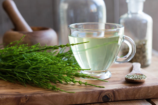 Learn-the-Terms-Diuretic Secrets Of The Tribe