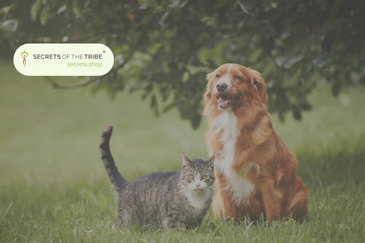 Nurturing-Your-Pet-s-Wellbeing-with-Our-Herbal-Care Secrets Of The Tribe