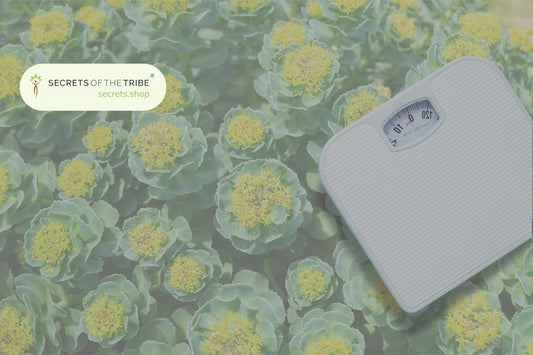 Rhodiola-Extract-for-Weight-Loss-Benefits-of-Rhodiola-Rosea-Explained Secrets Of The Tribe