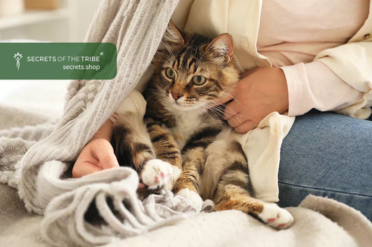 Tips for Neutered Cats: Supporting Your Pet’s Urinary Health with Herbal Supplements for Cats