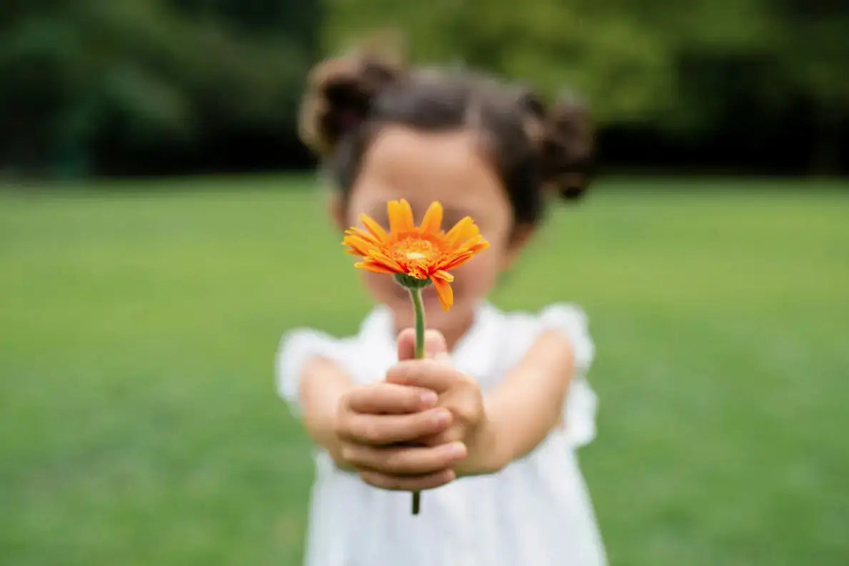 Well-Being: The art of being grateful - Secrets Of The Tribe