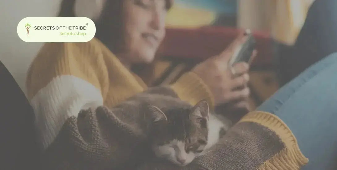 Wellness: How to Make Your Home More Cozy? - Secrets Of The Tribe