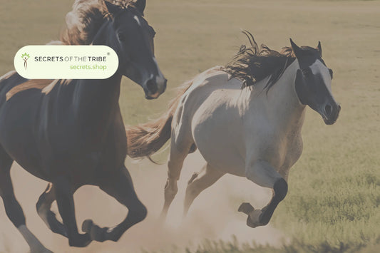 What-Is-the-Best-Horse-Joint-Supplement-Top-4-Equine-Joint-Supplements Secrets Of The TribeÂ