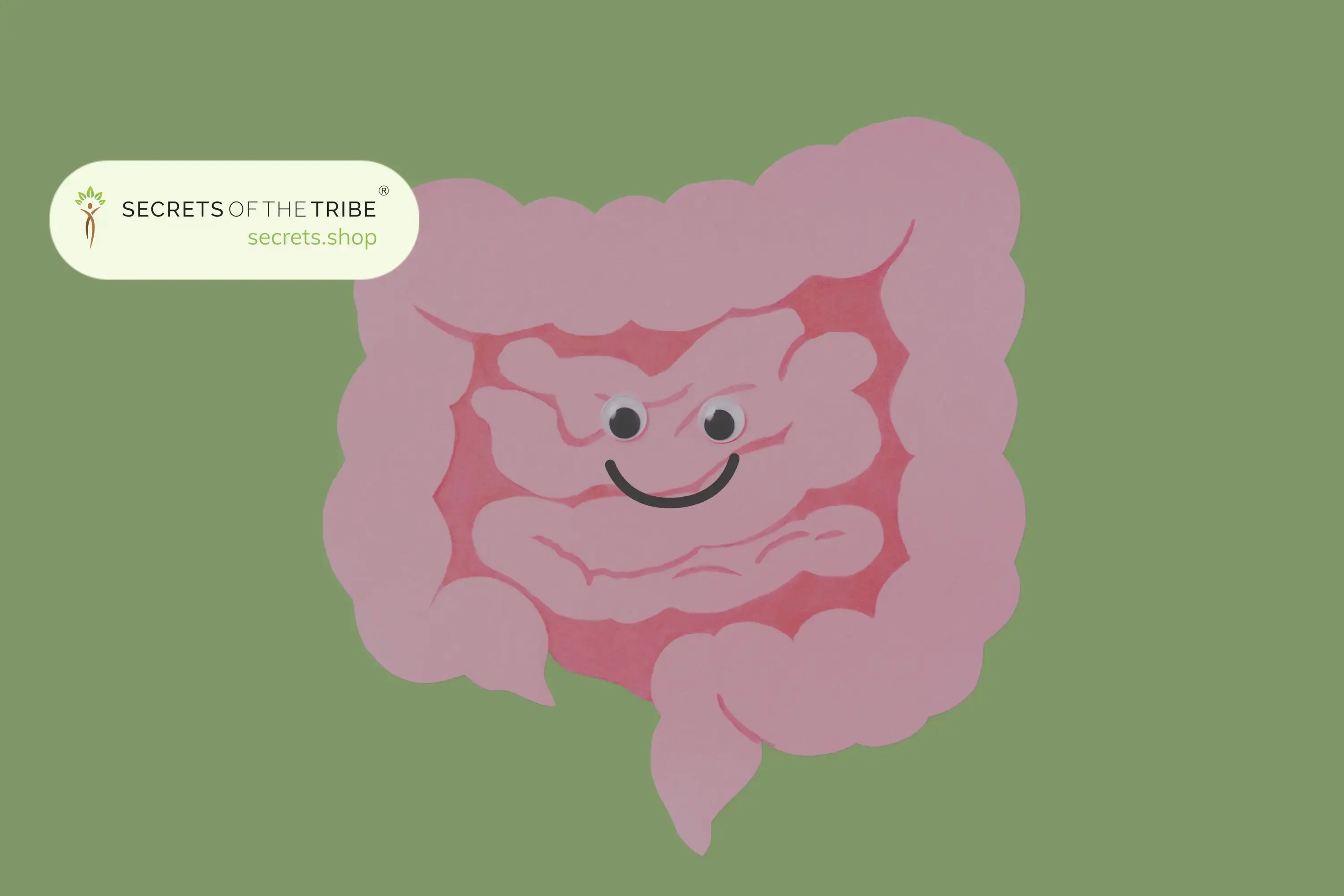 Herbs for Gut Health