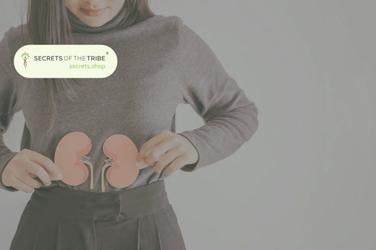herbs for kidney health
