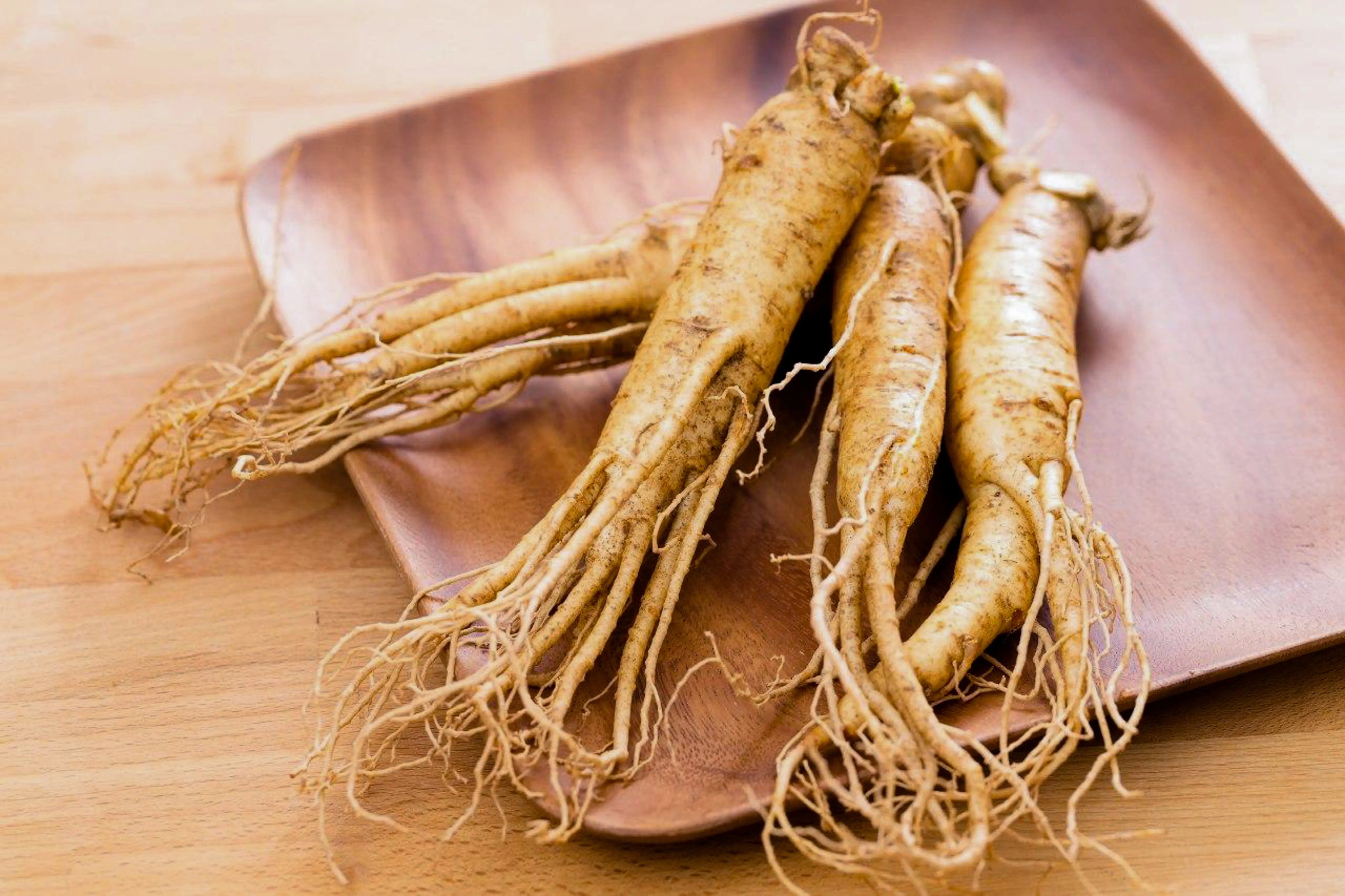 Learn the Herbs: Ginseng - Secrets Of The Tribe Learn the Herbs: Ginseng