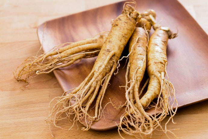 Learn the Herbs: Ginseng