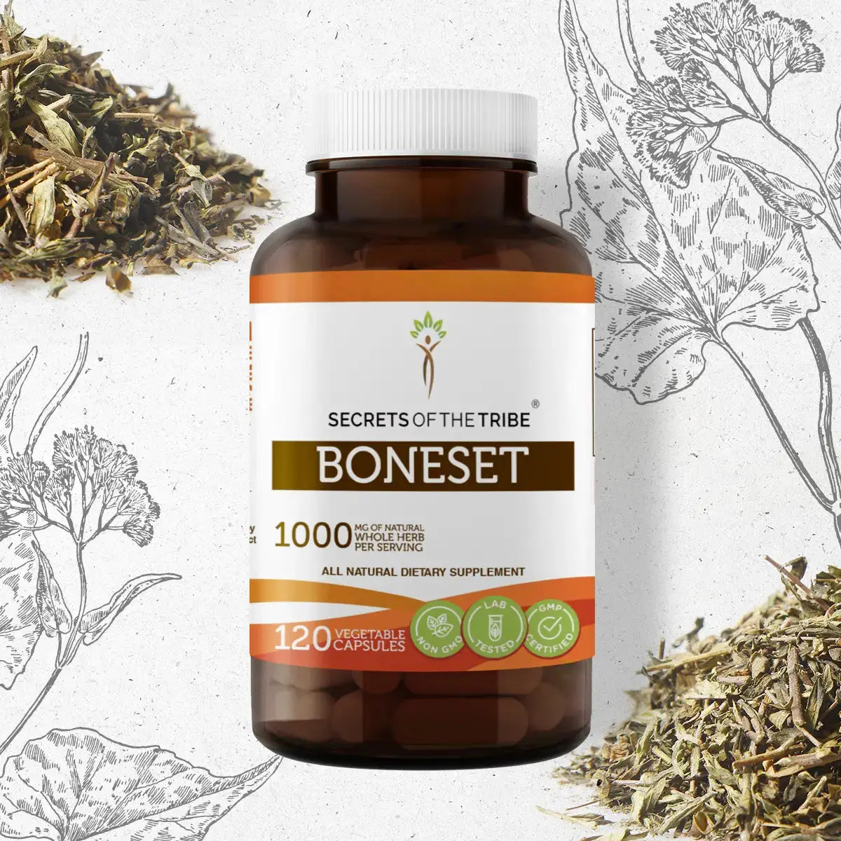Boneset Capsules - Secrets Of The Tribe