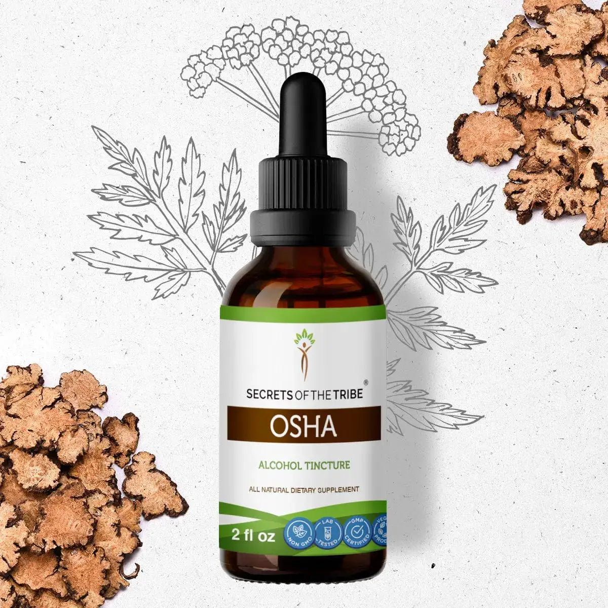 Osha Tincture - Secrets Of The Tribe