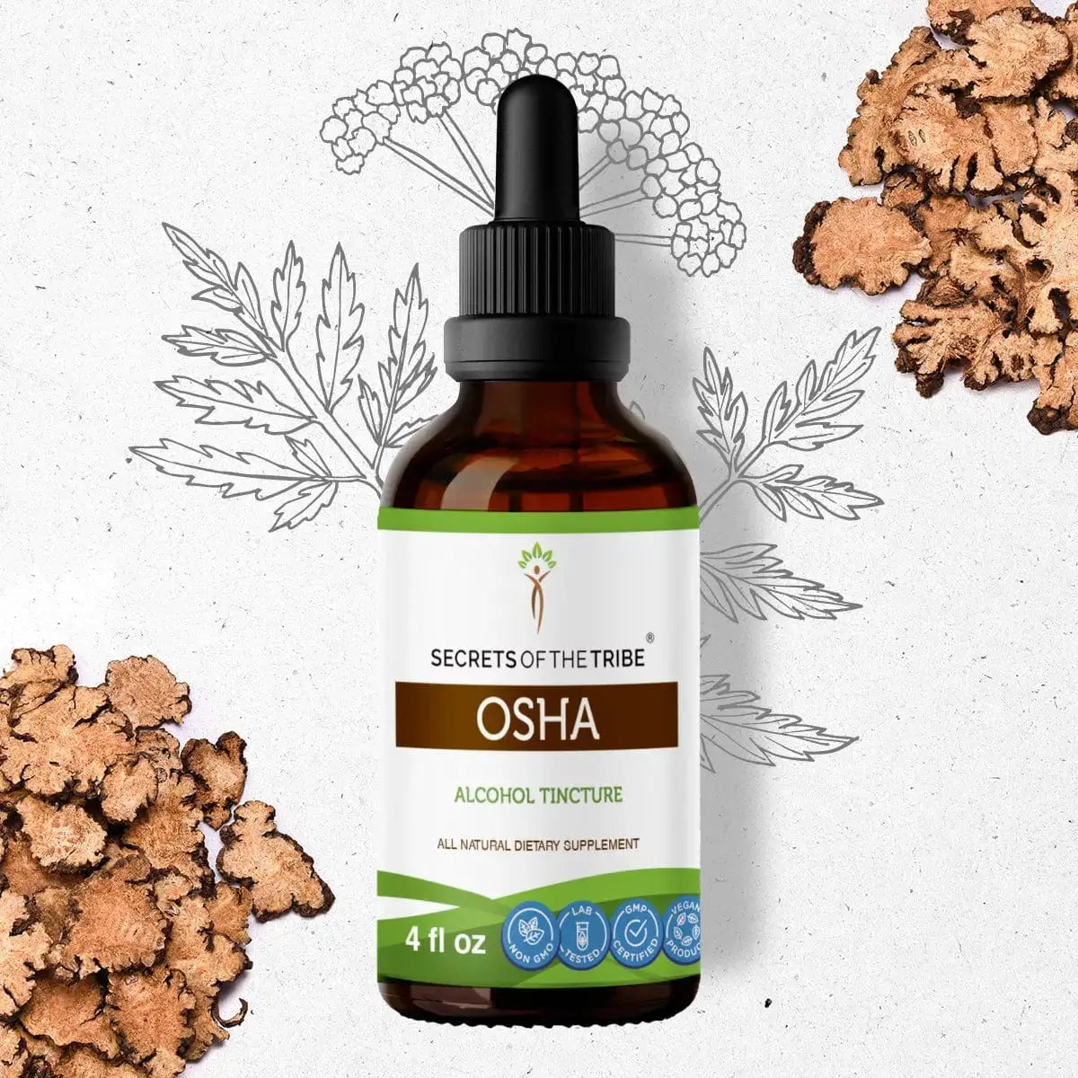 Osha Tincture - Secrets Of The Tribe