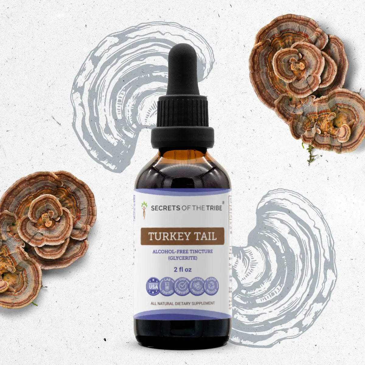Buy Turkey Tail Tincture online - Secrets Of The Tribe