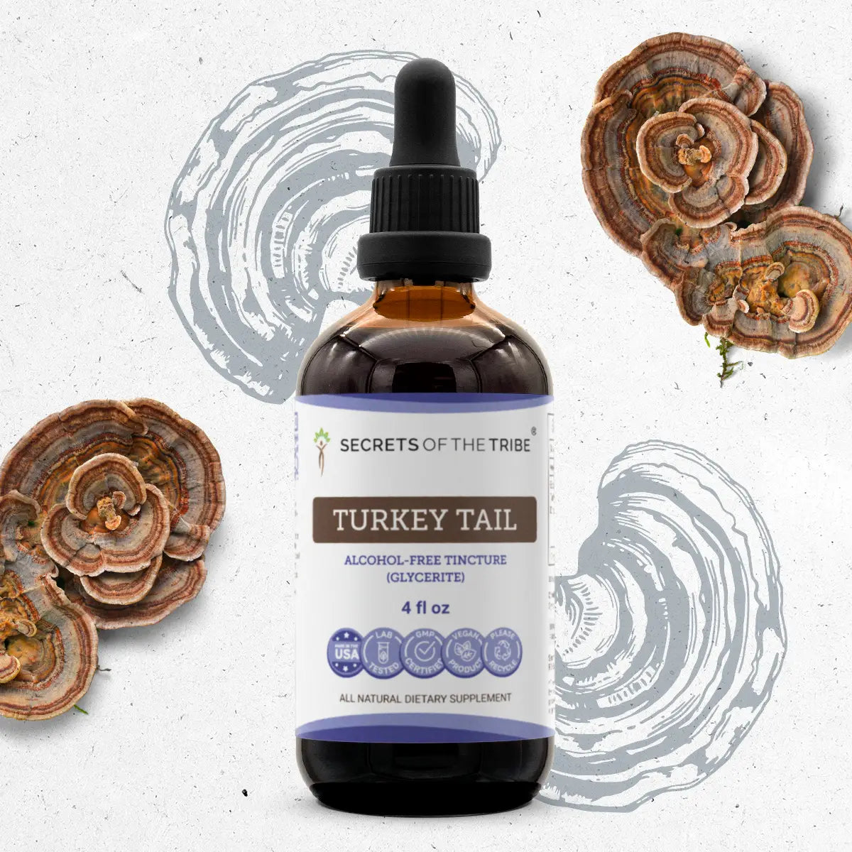 Buy Turkey Tail Tincture online - Secrets Of The Tribe