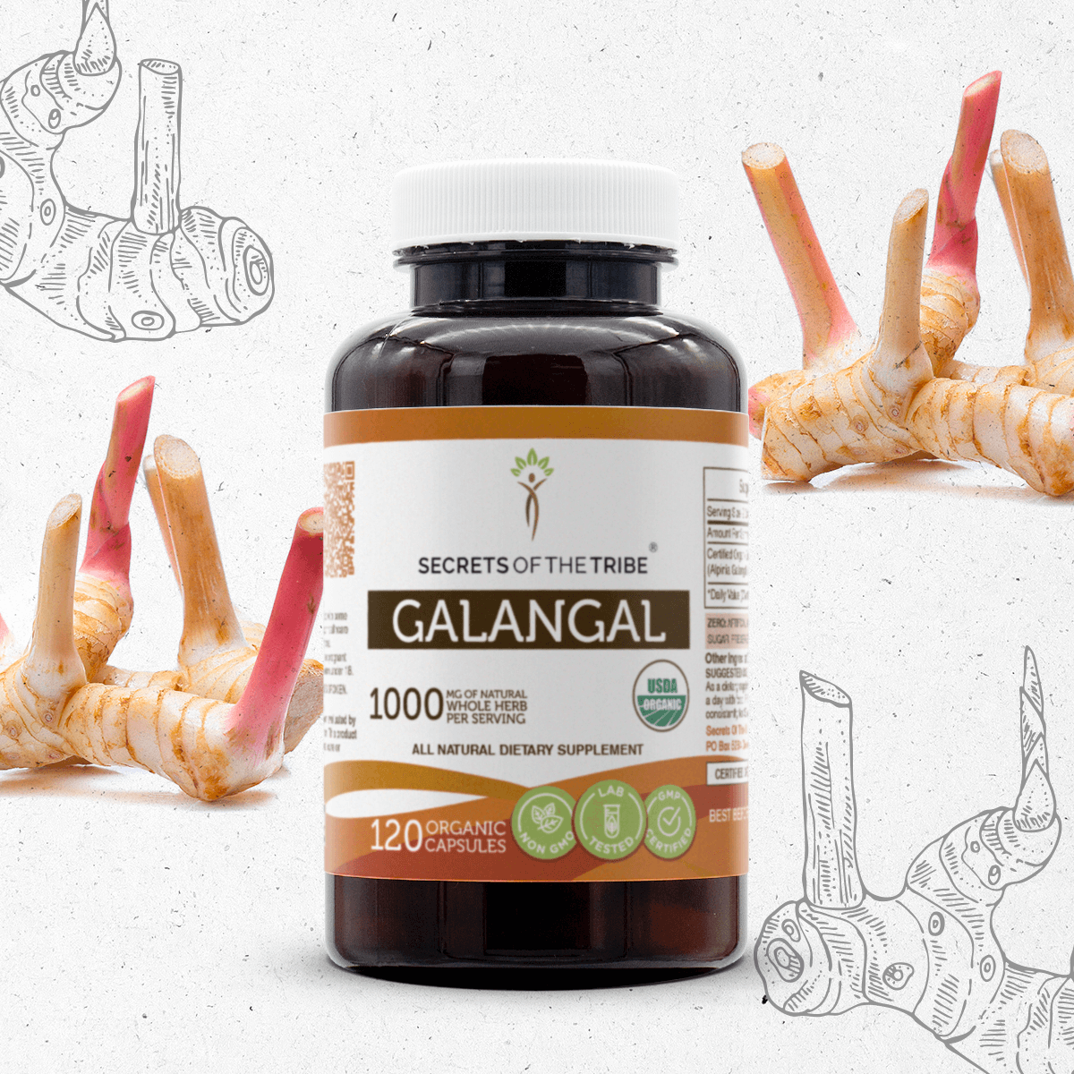 Galangal Capsules Secrets Of The Tribe Capsules Secrets Of The Tribe