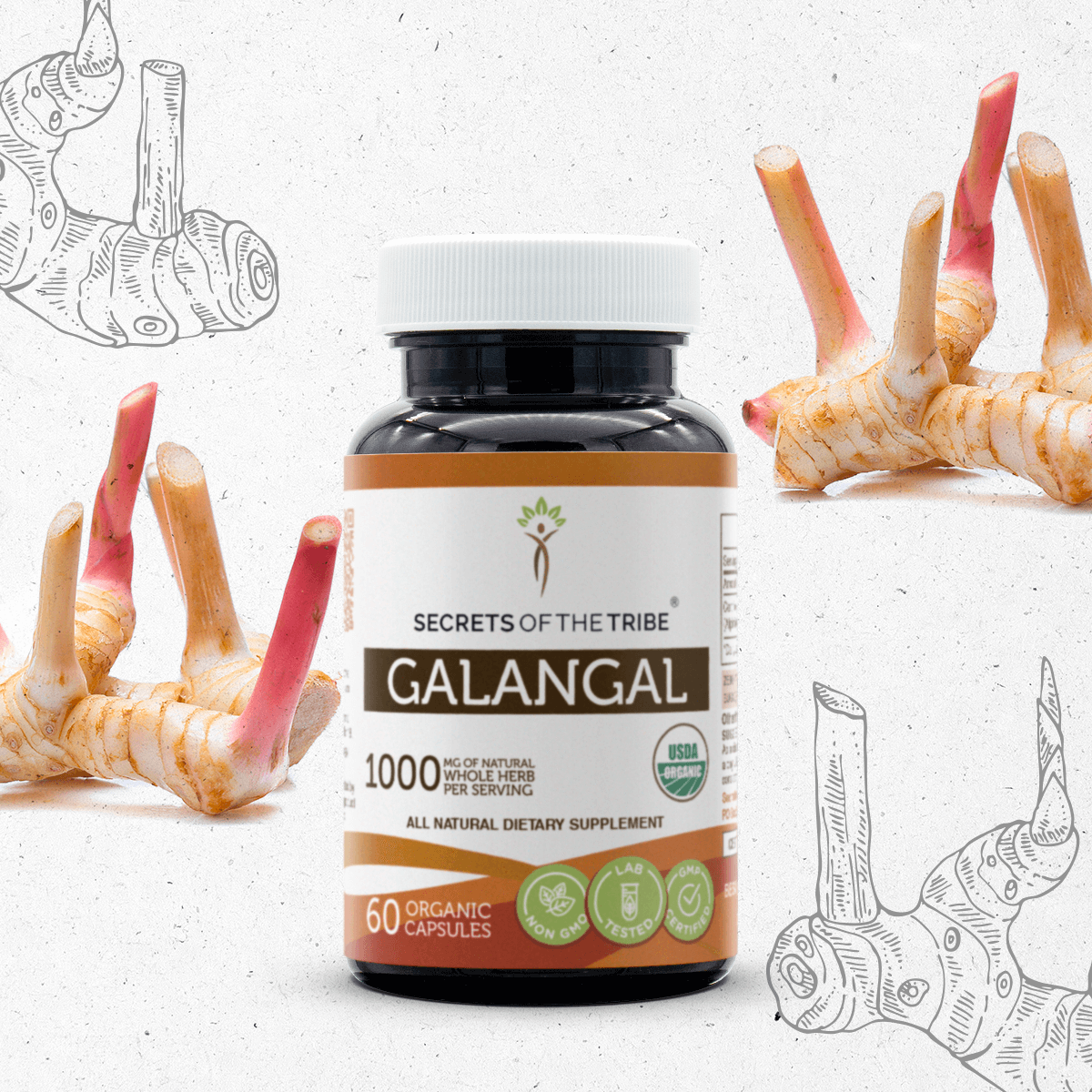 Galangal Capsules Secrets Of The Tribe Capsules Secrets Of The Tribe