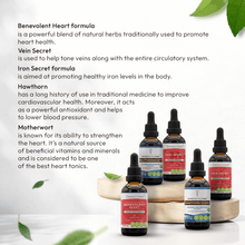 Load image into Gallery viewer, Secrets Of The Tribe Herbal Set for the Cardiovascular System buy online 