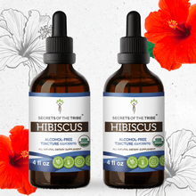 Load image into Gallery viewer, Secrets Of The Tribe Hibiscus Tincture buy online 