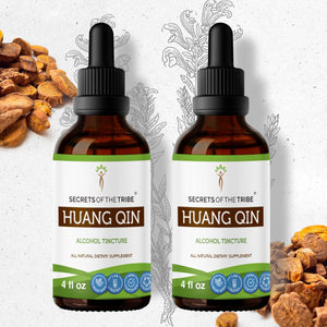Secrets Of The Tribe Huang Qin Tincture buy online 