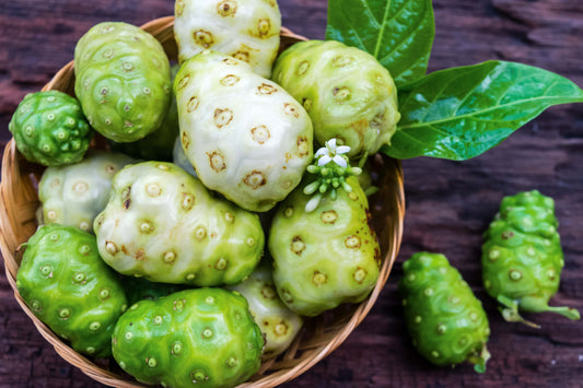 Learn the Herbs: Noni