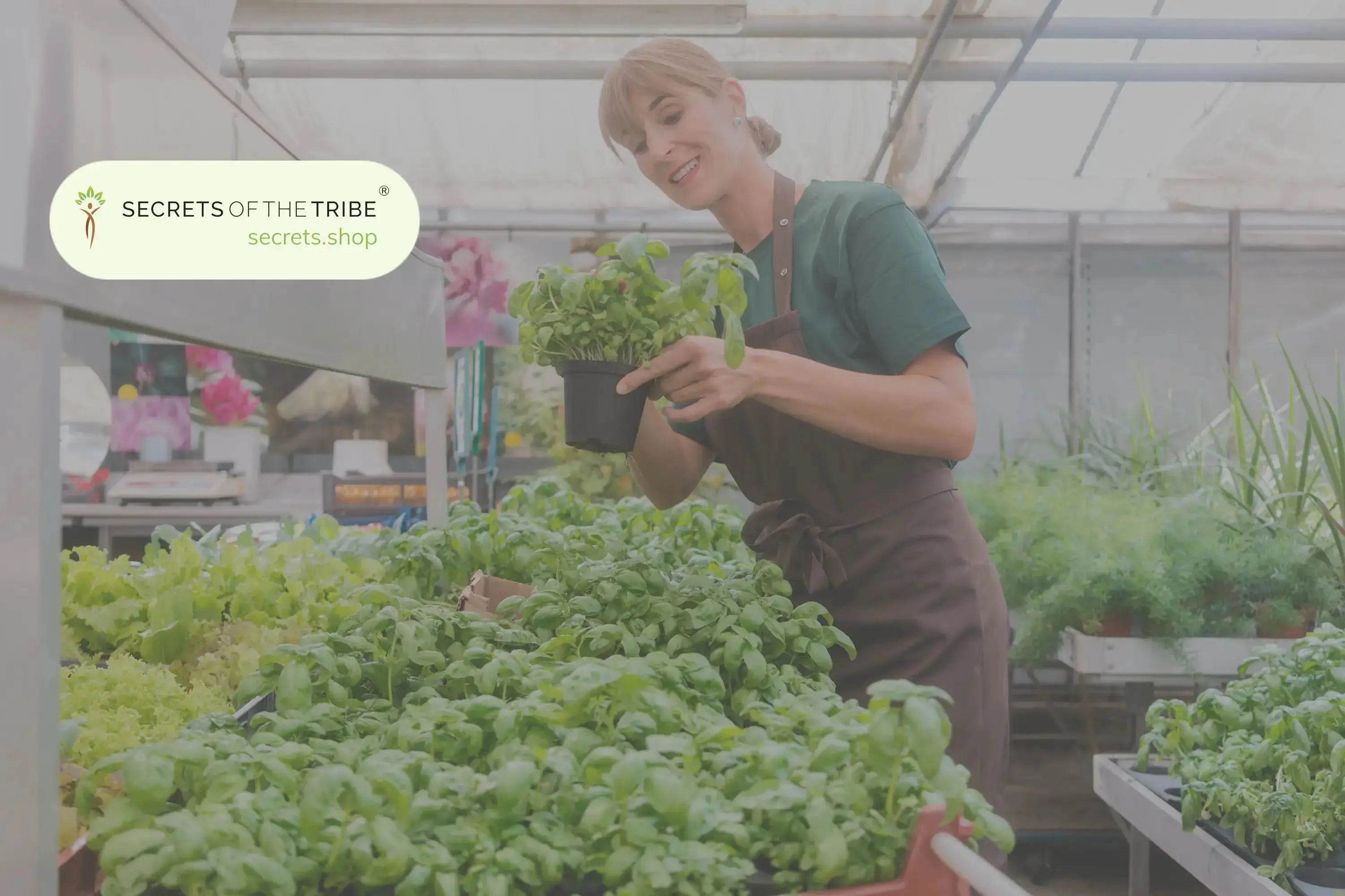 4 Exotic Herbs from Around the World -  Secrets Of The Tribe 