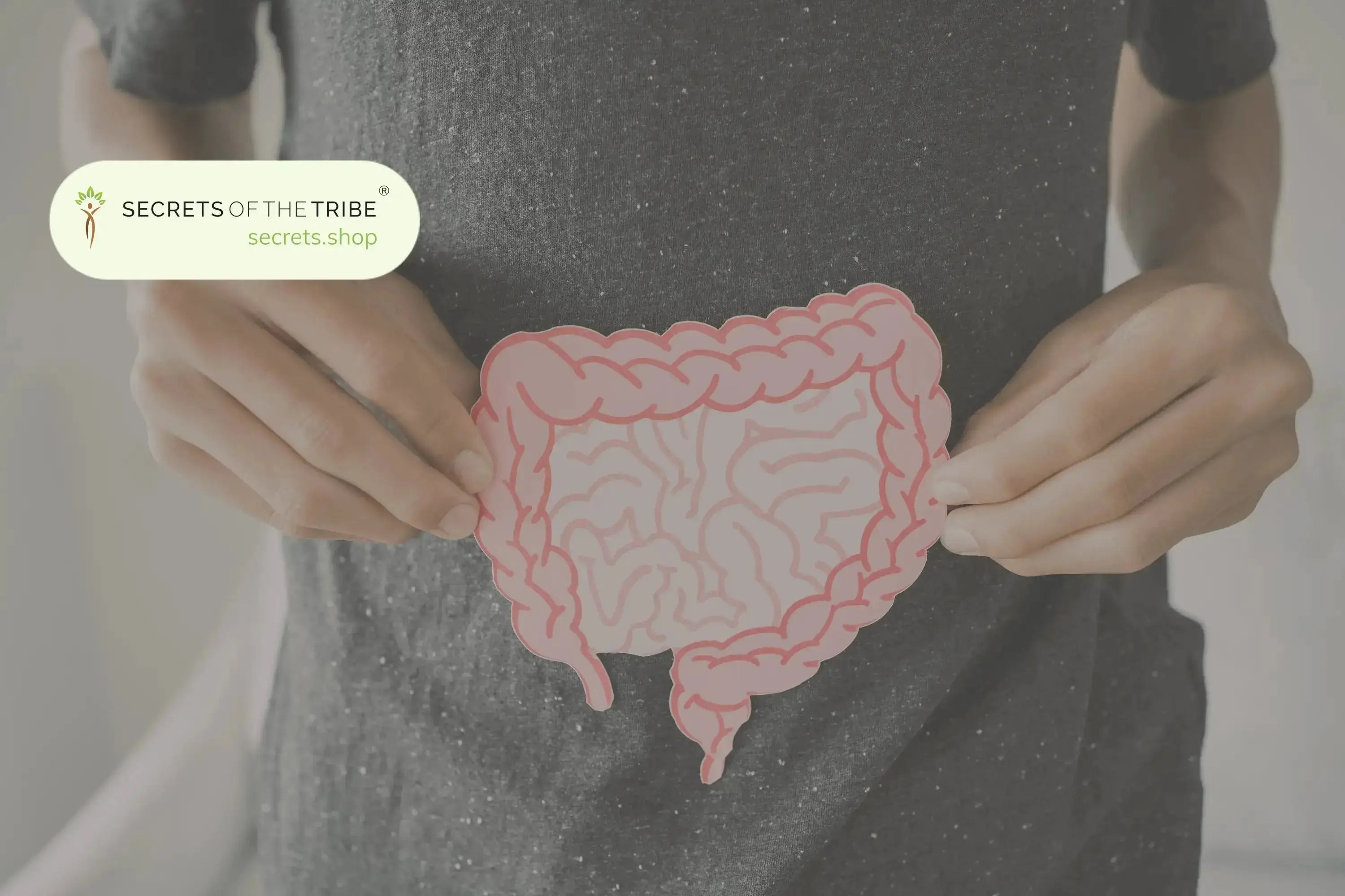 5 Best Herbs to Improve Your Gut Health -  Secrets Of The Tribe 