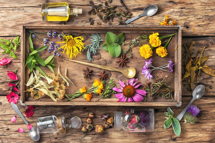 History of Herbalism