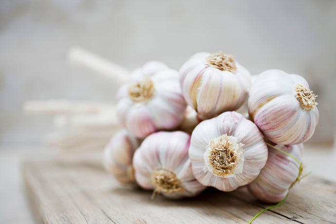 Learn the Herbs: Garlic
