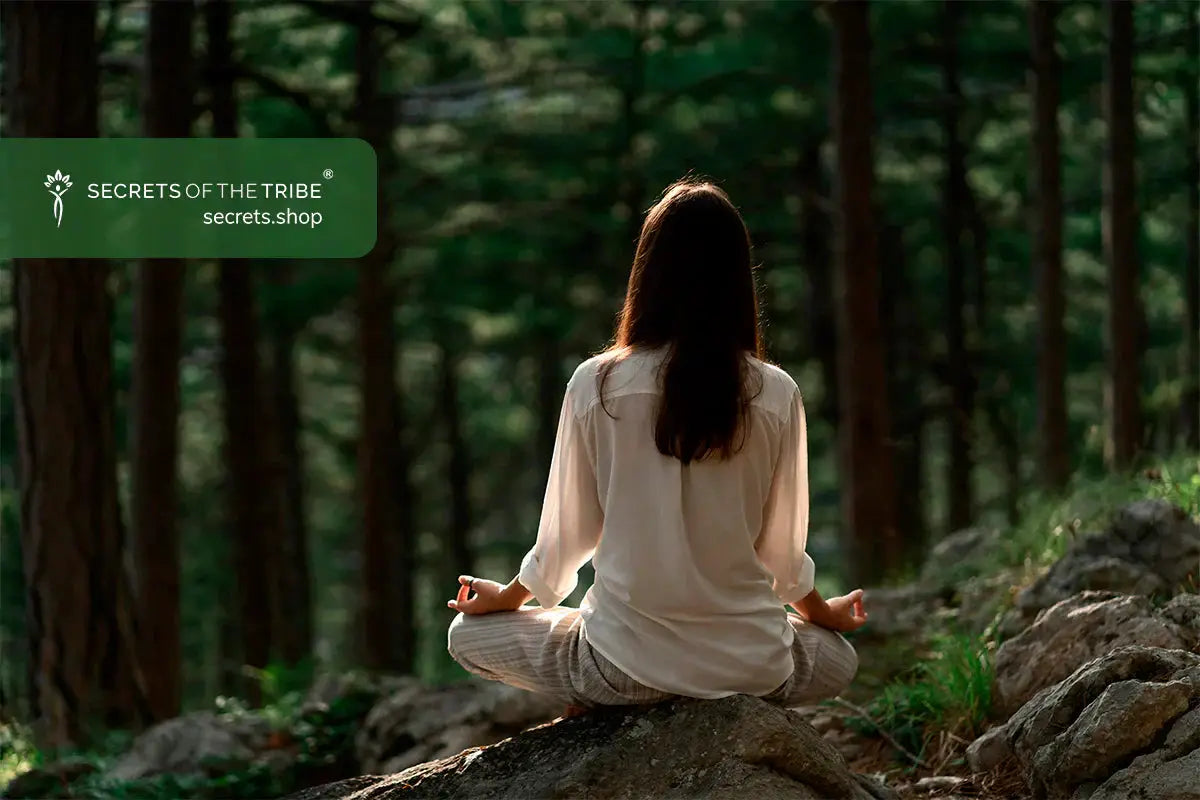 A-Gentle-Herb-for-Relaxation-Where-Can-I-Buy-Valerian Secrets Of The Tribe 