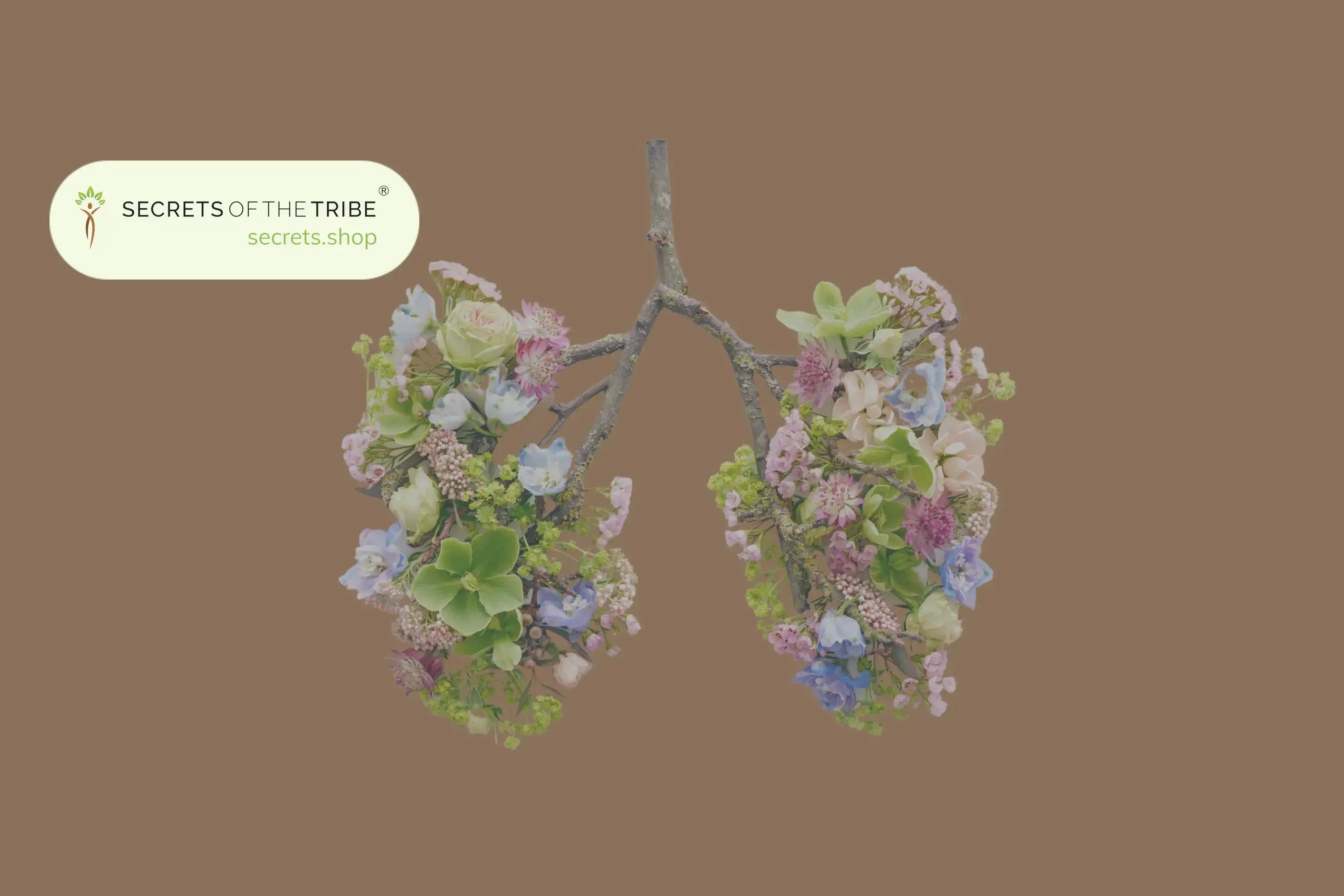 Breathe-Easy-Best-Herbs-for-Lung-Cleaning-and-Detoxification Secrets Of The Tribe 