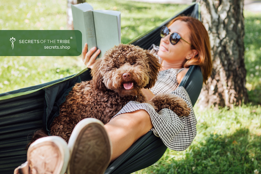 5 Calming Herbs for Dogs to Ease Dog Anxiety Naturally - Secrets Of The Tribe