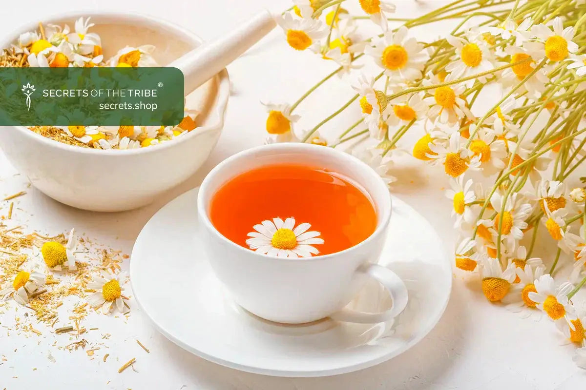 Chamomile-Flower-Tea-A-Perfect-Ending-to-a-Long-Day Secrets Of The Tribe 