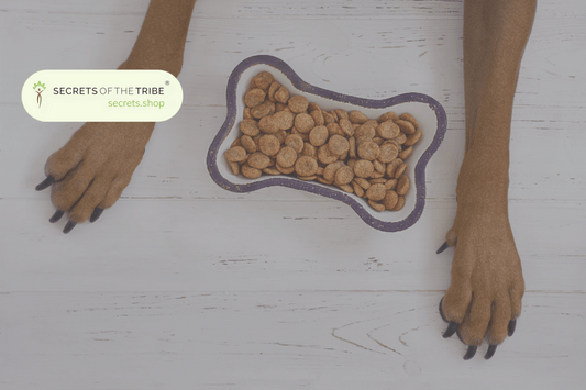 Dry Pet Food