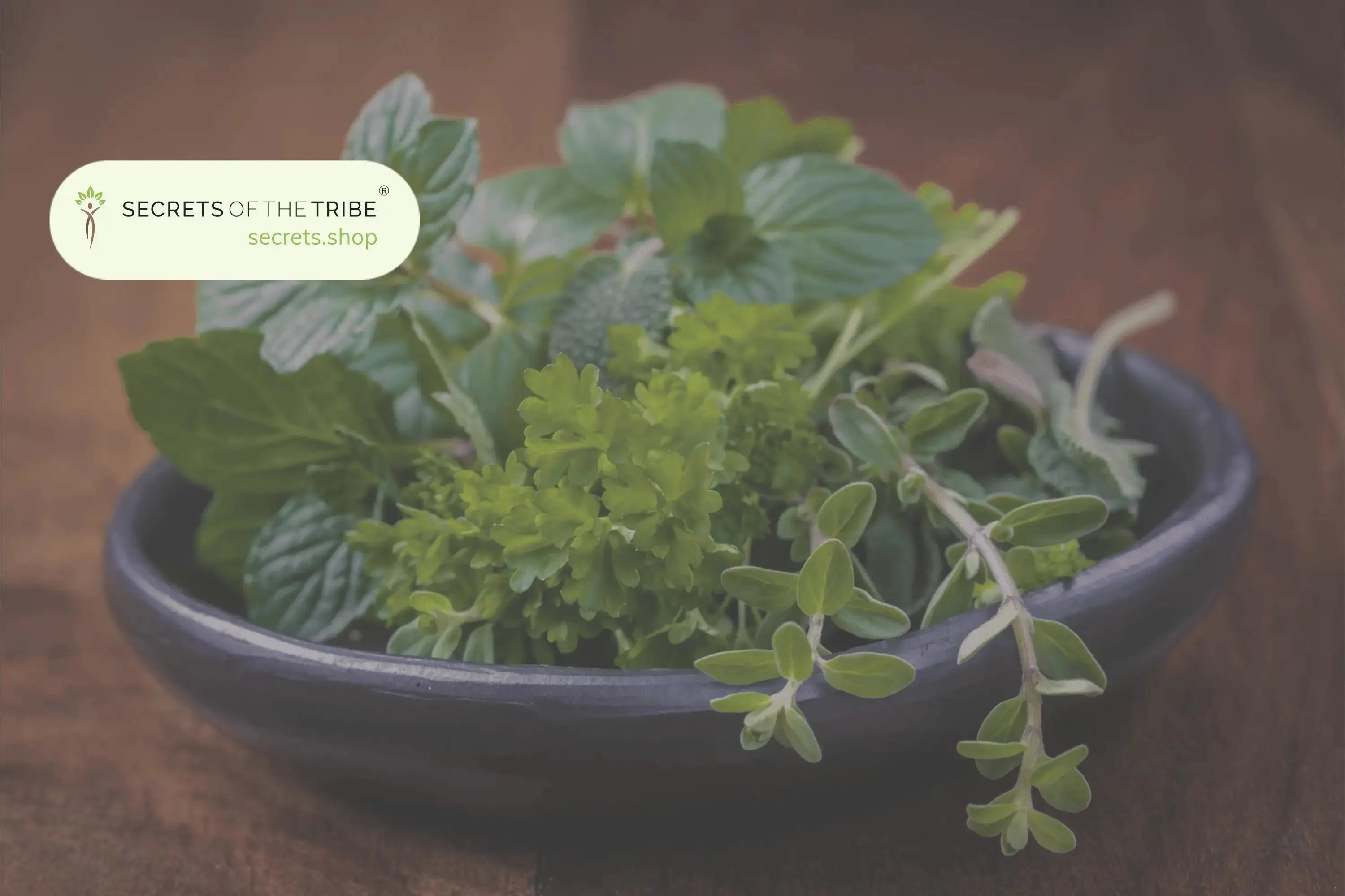 Herbs from the USA -  Secrets Of The Tribe 