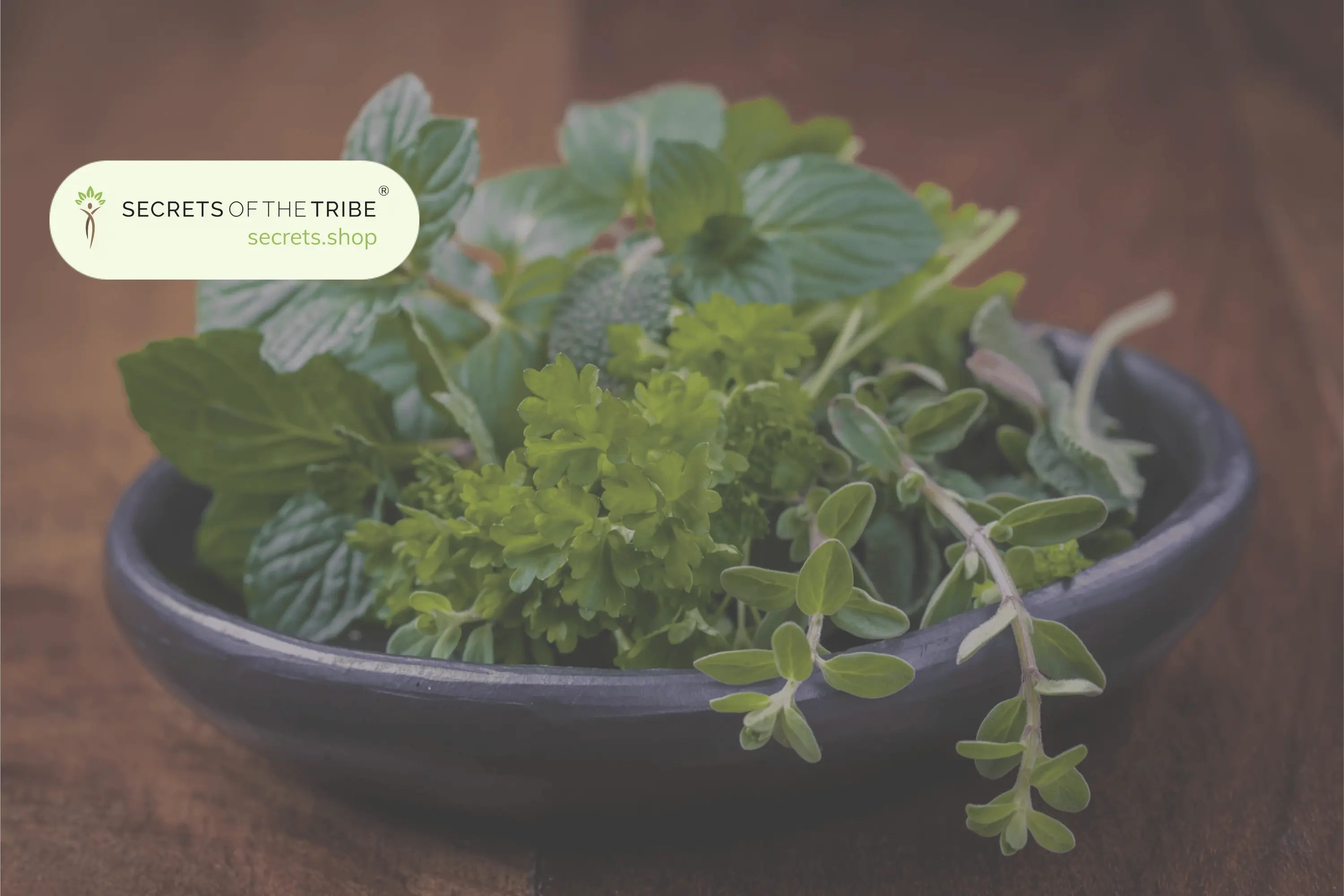 Herbs from the USA -  Secrets Of The Tribe 