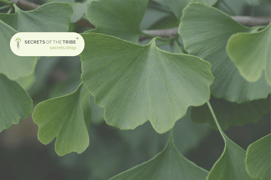 Herbs in China