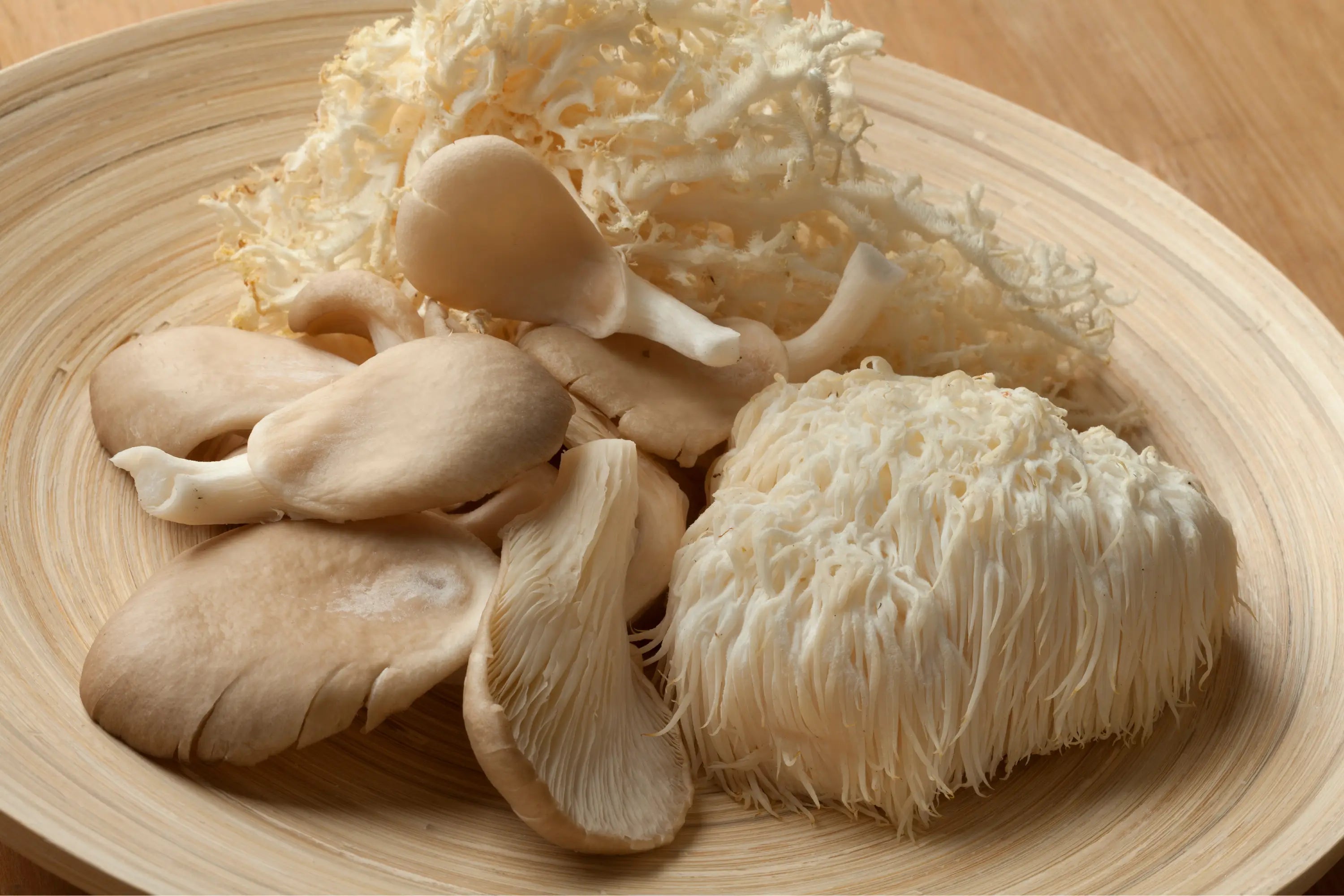 Lion-s-Mane-for-ADHD-Could-This-Mushroom-Help Secrets Of The Tribe 