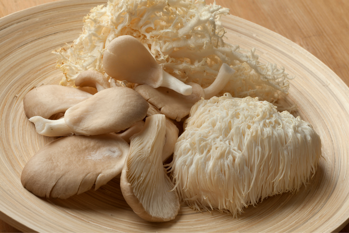 Lion’s Mane for ADHD: Could This Mushroom Help?