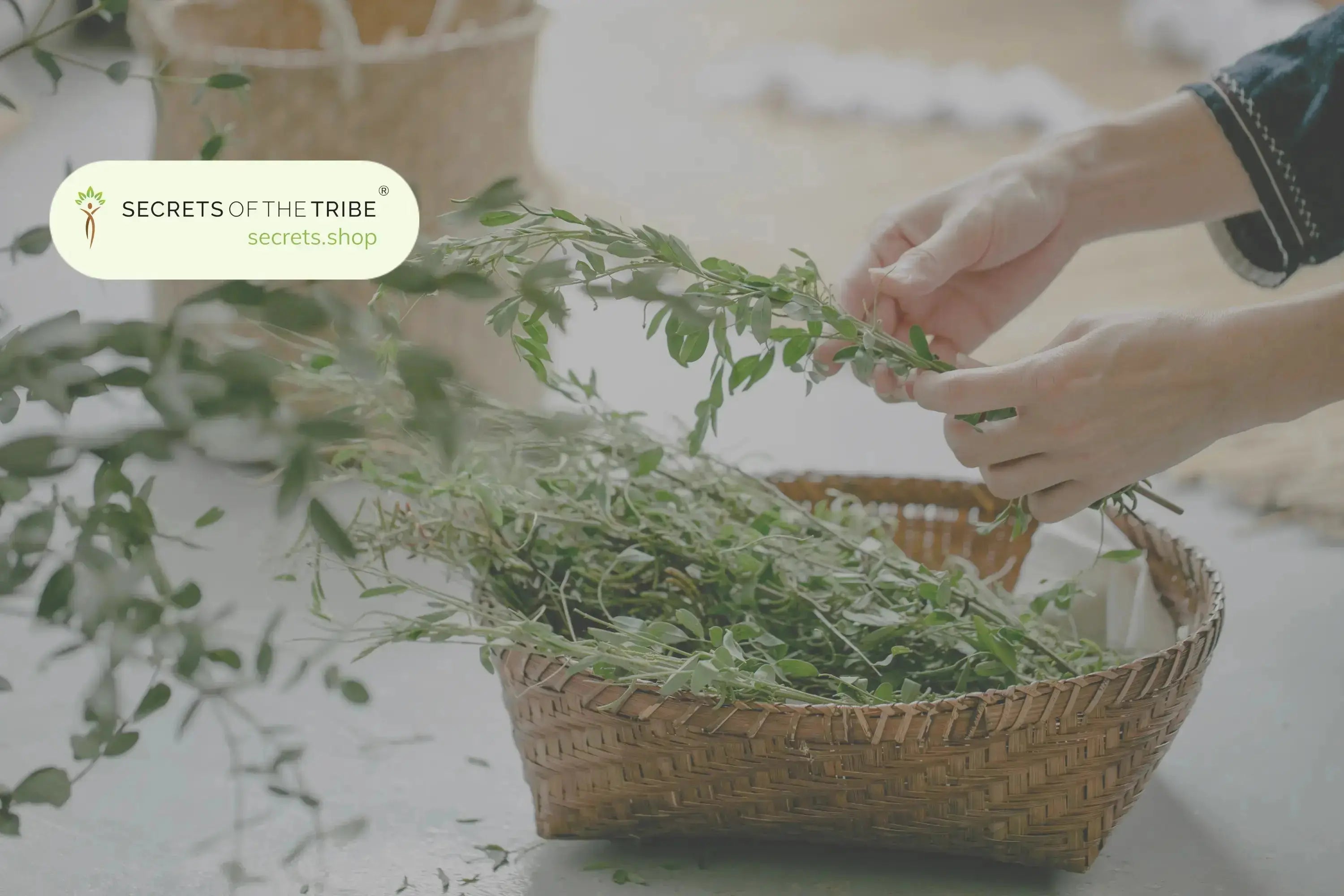 Natural Remedies to Know -  Secrets Of The Tribe 